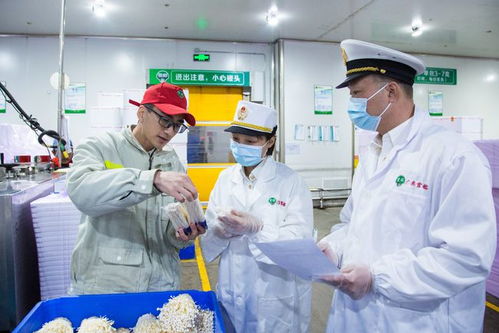 海關(guān)助力惠州金針菇開拓國(guó)際市場(chǎng)