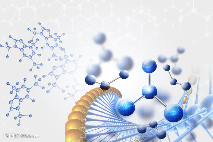 生物分子的結構與功能 生命科學的基石